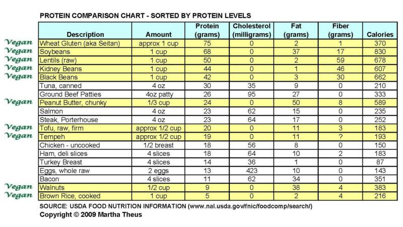 Protein Gram Chart